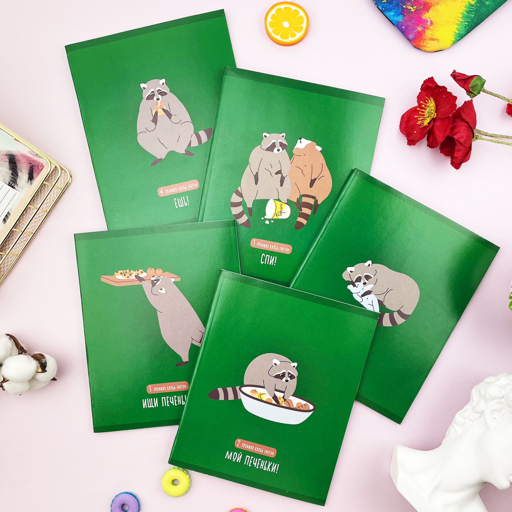 День енота – ТК488601 День енота – ТК488601