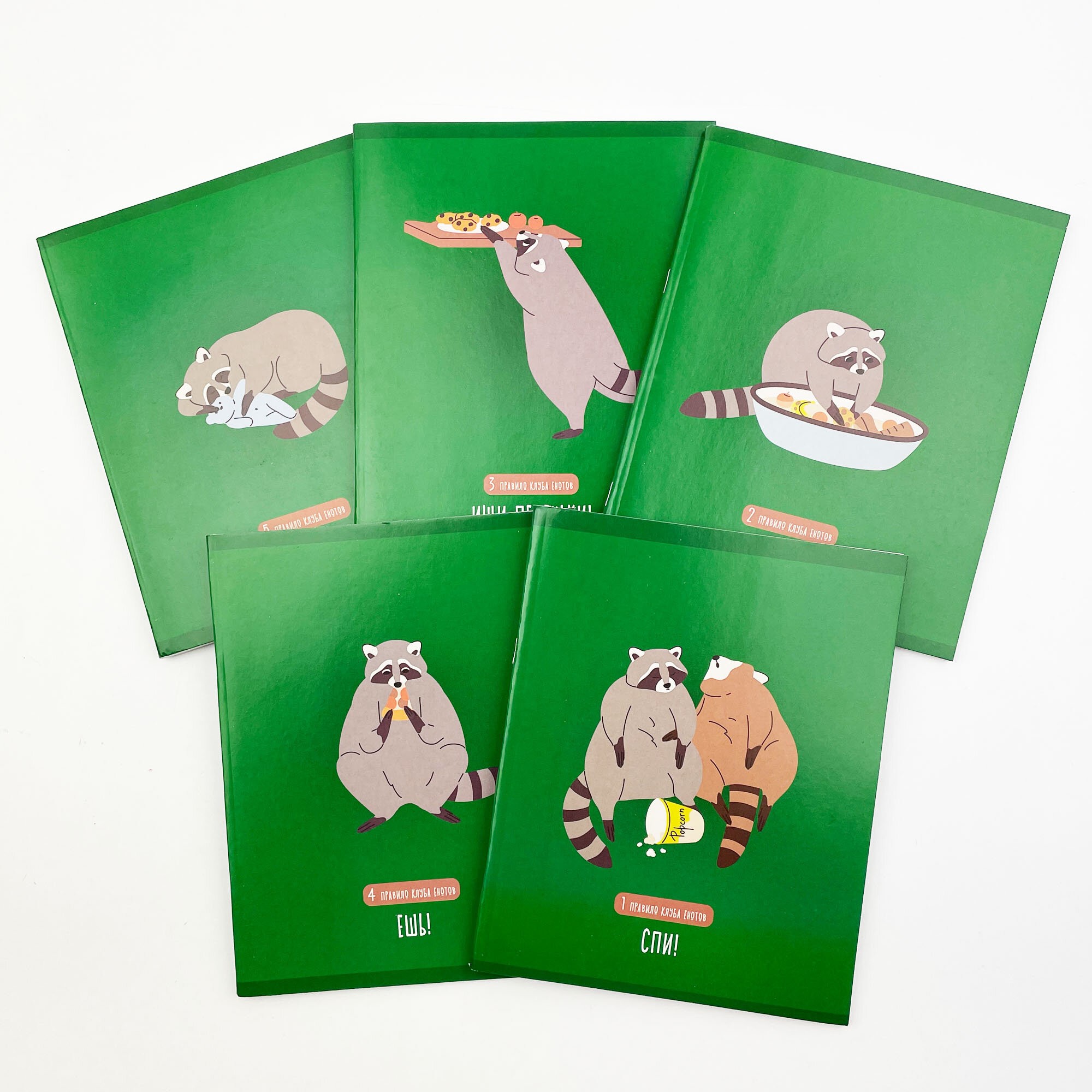 День енота – ТК488601 День енота – ТК488601