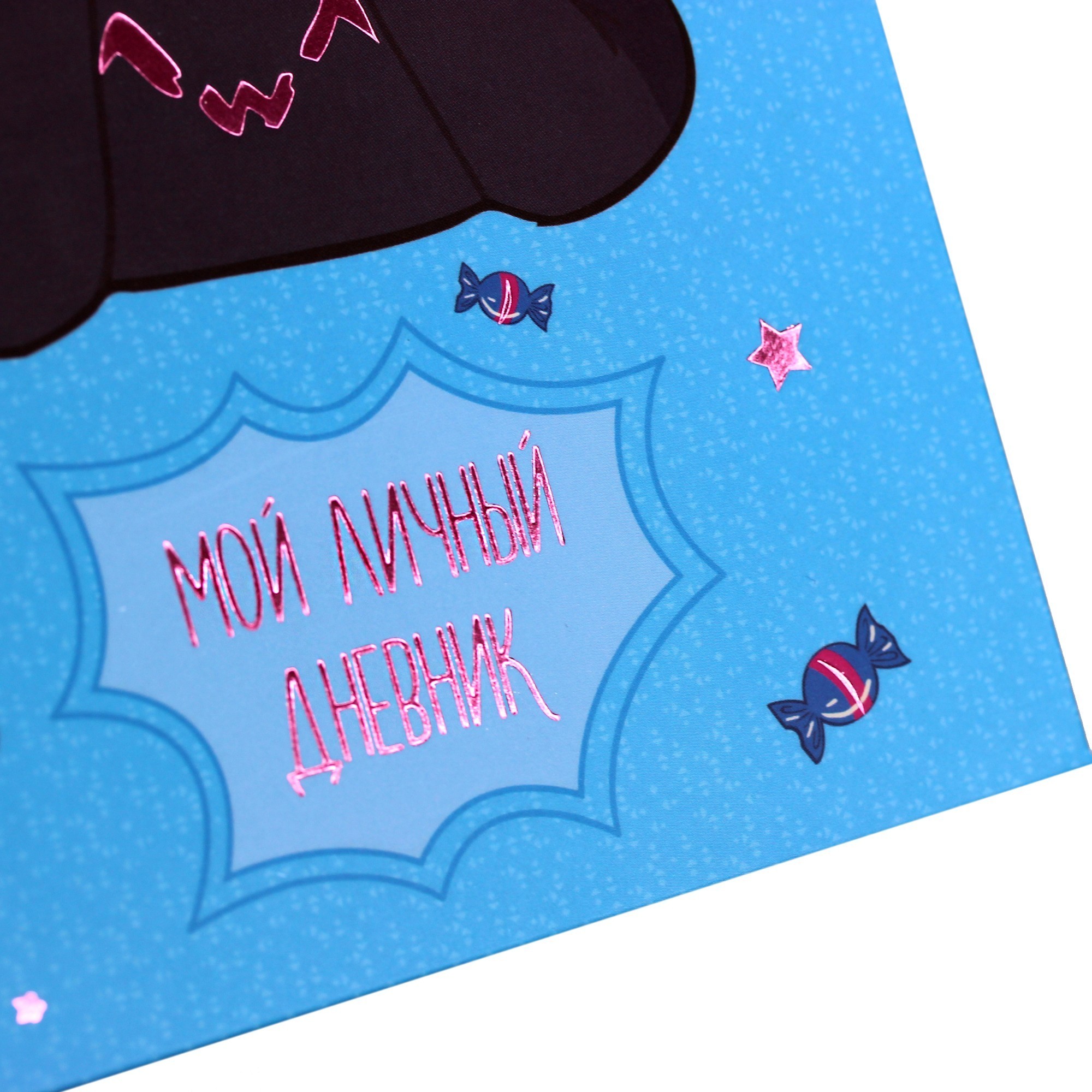 Личный дневник. Дизайн 4 – ЕТИФ648319 Личный дневник. Дизайн 4 – ЕТИФ648319