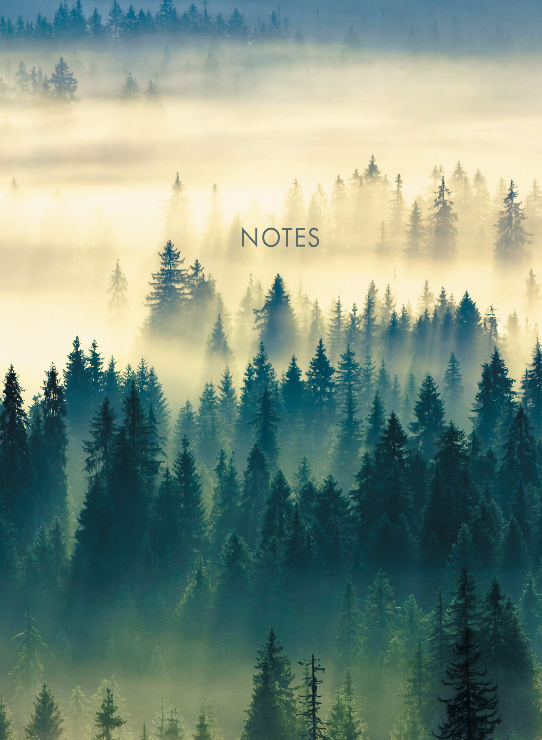 Туманный лес – КЗ41003462 Туманный лес – КЗ41003462