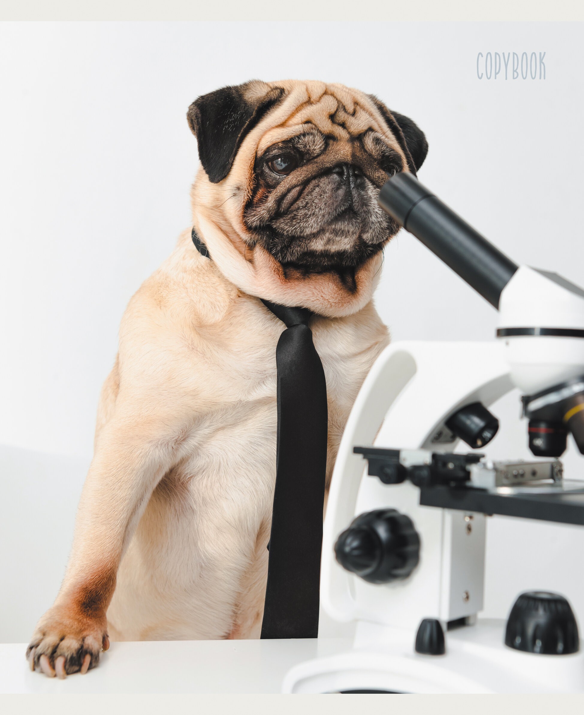 Работник года – ТК407739 Работник года – ТК407739