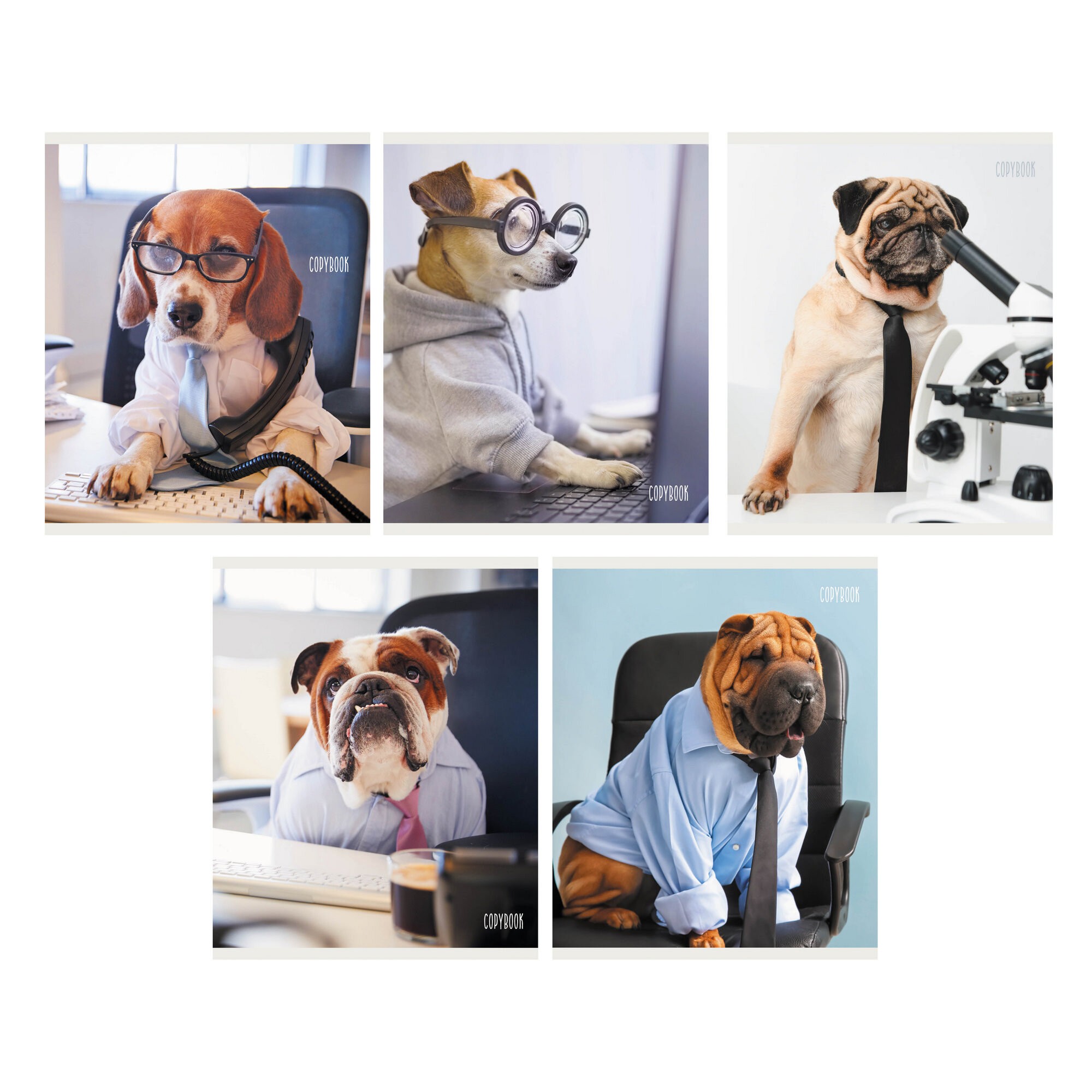 Работник года – ТК407739 Работник года – ТК407739