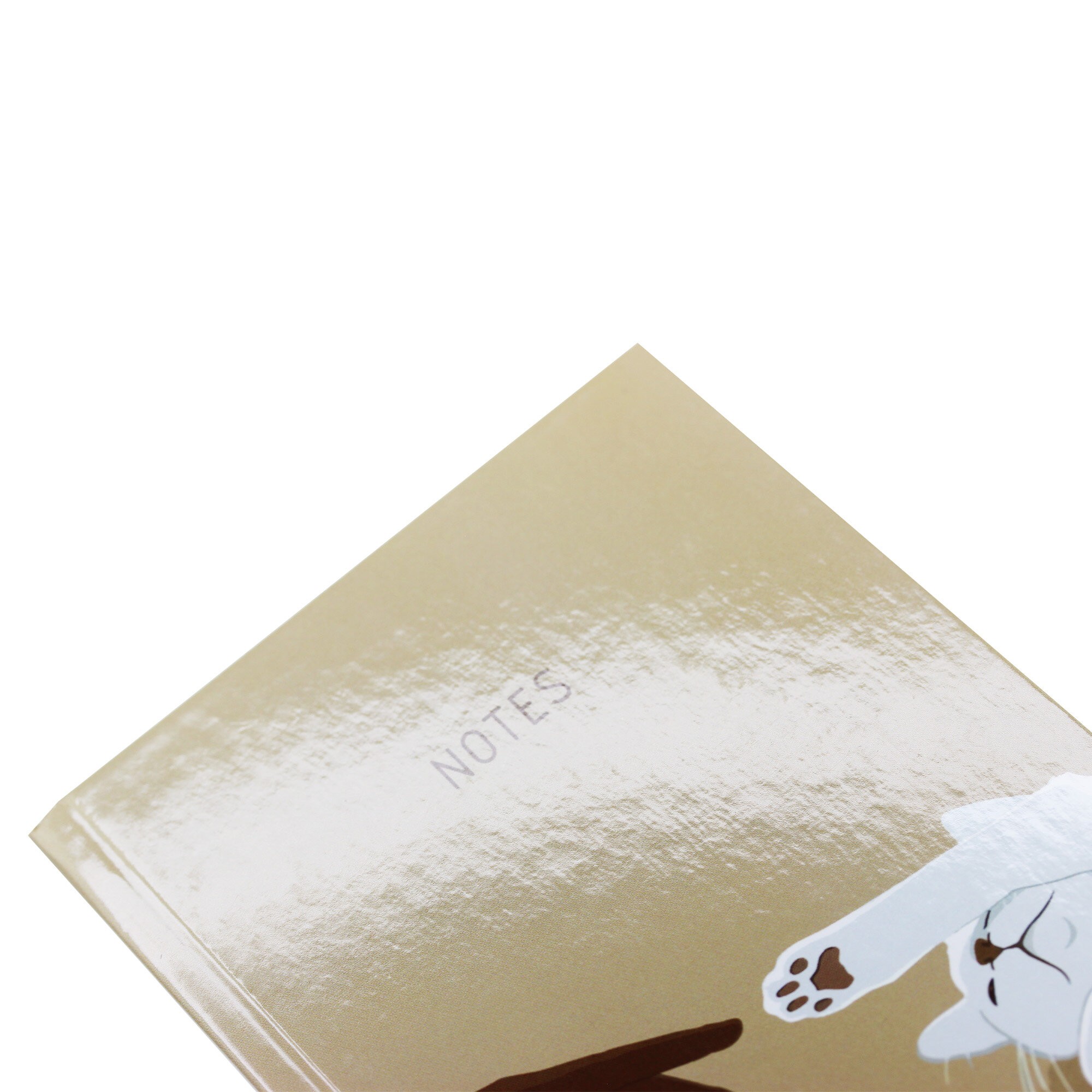 Дружба – КЗ6483726 Дружба – КЗ6483726