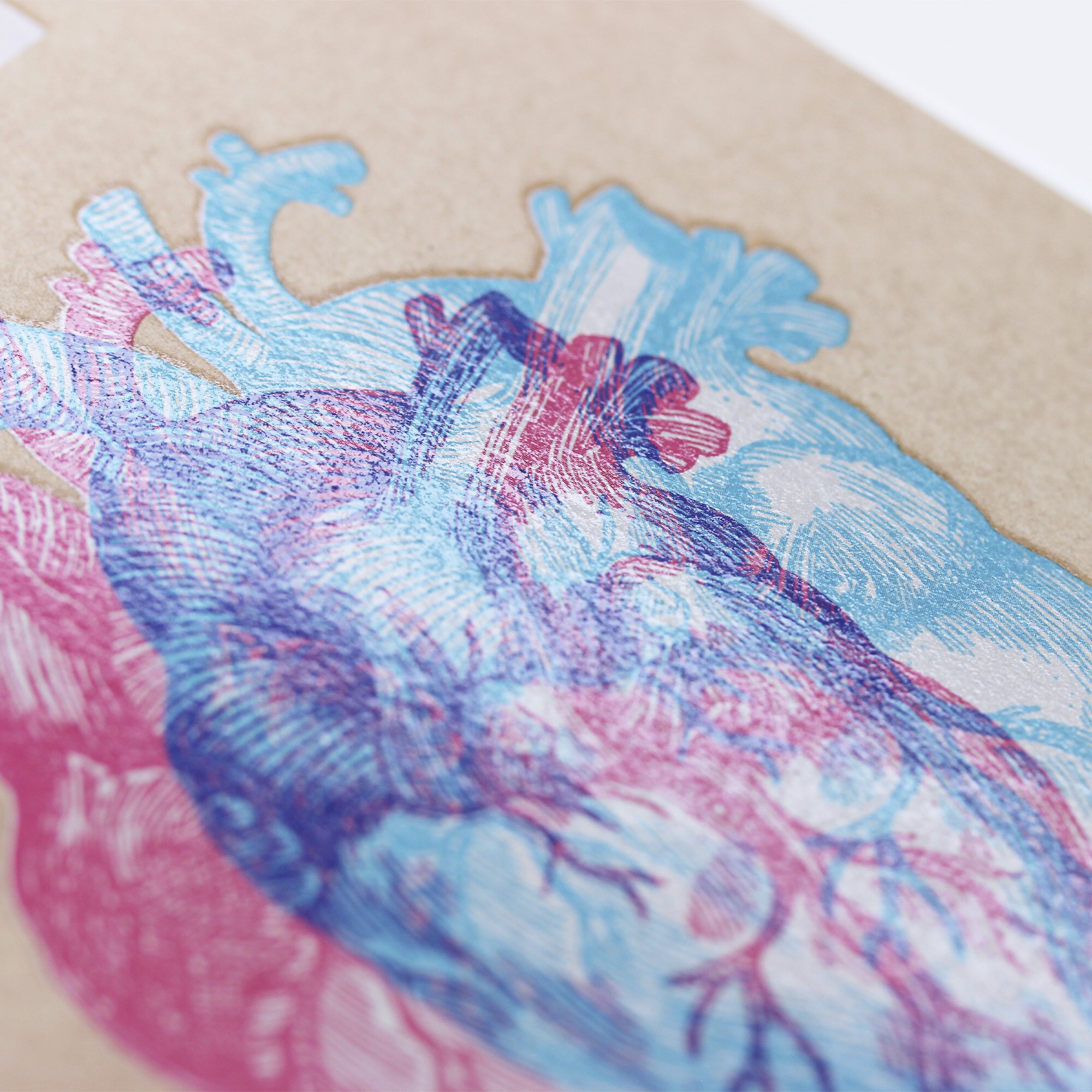 Heart – СПСЛ540141 Heart – СПСЛ540141