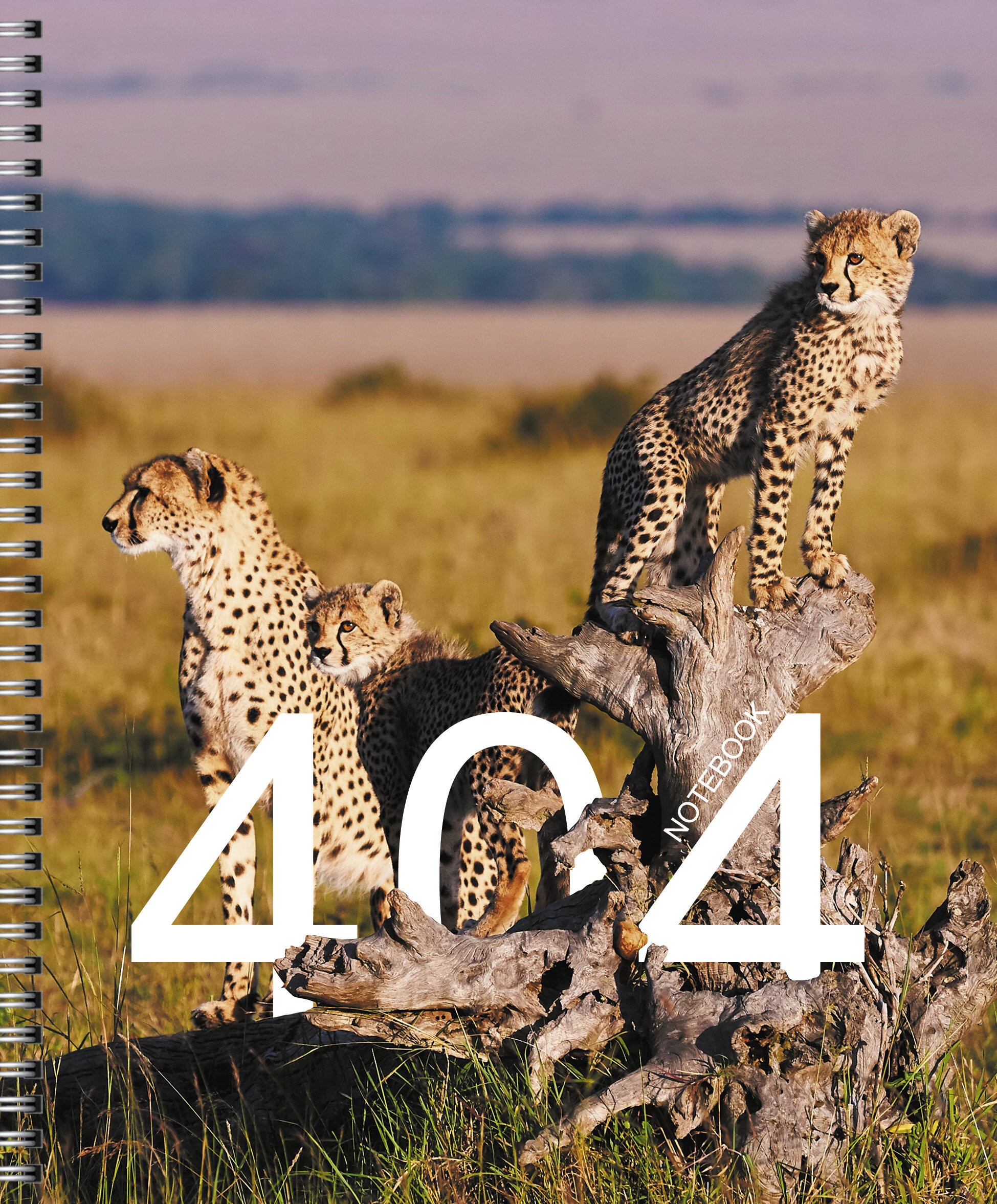 Not Found – ТСЛ488441 Not Found – ТСЛ488441