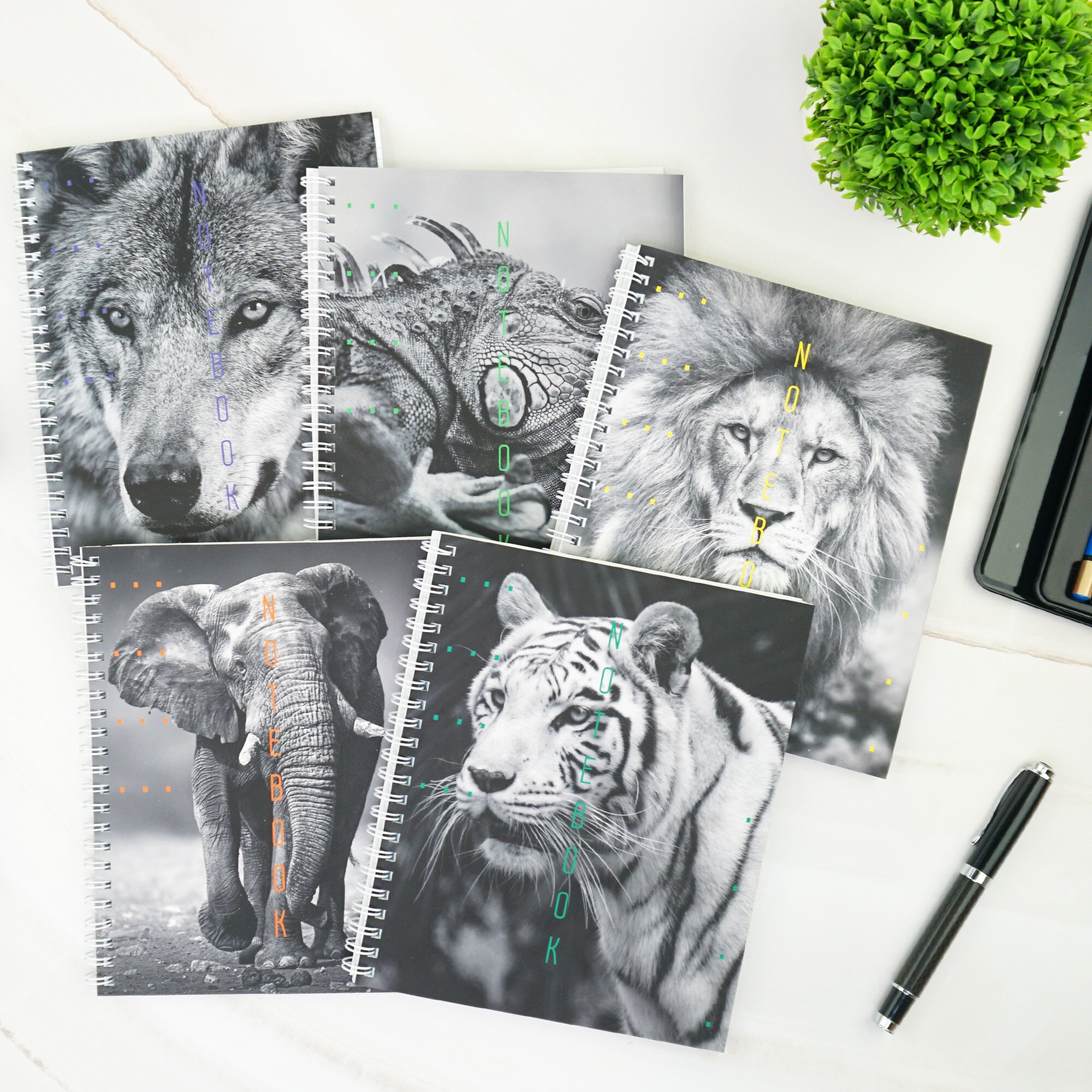 Дикие и прекрасные – ТС968554 Дикие и прекрасные – ТС968554