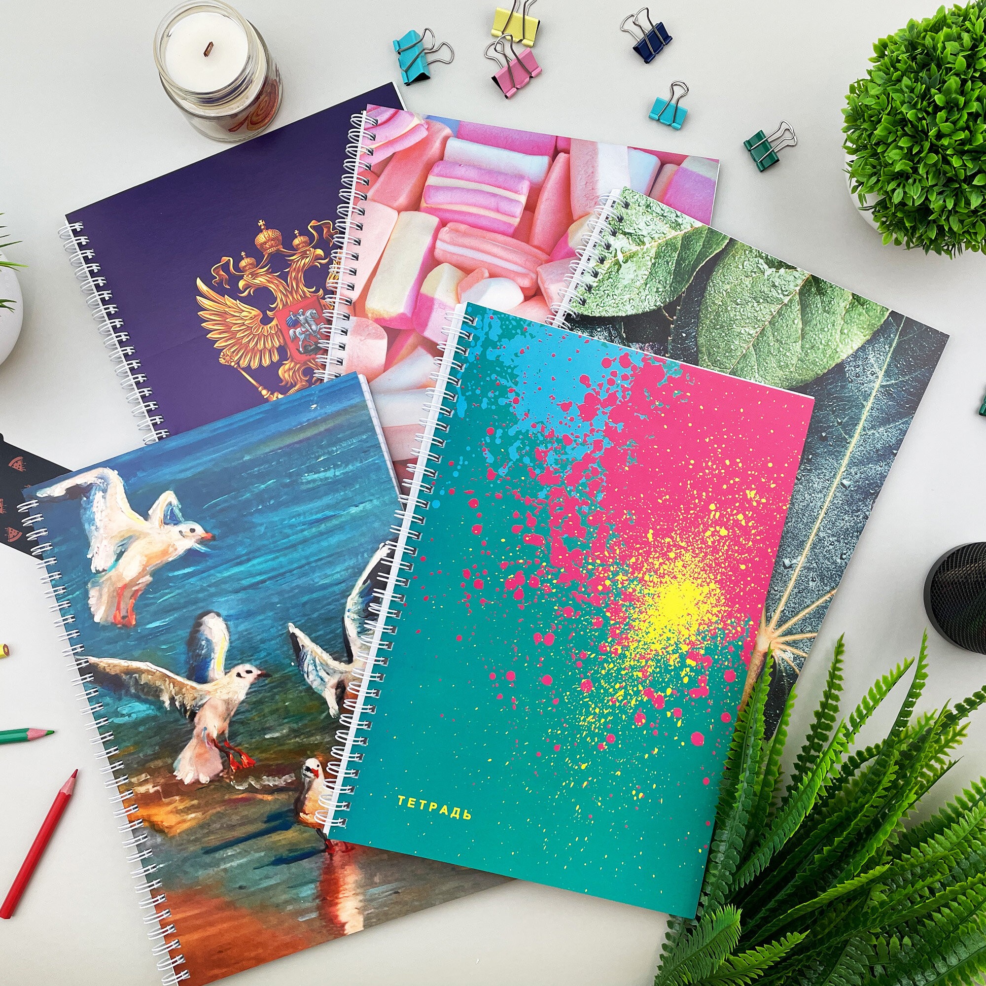 Зефир – ТС4805024 Зефир – ТС4805024