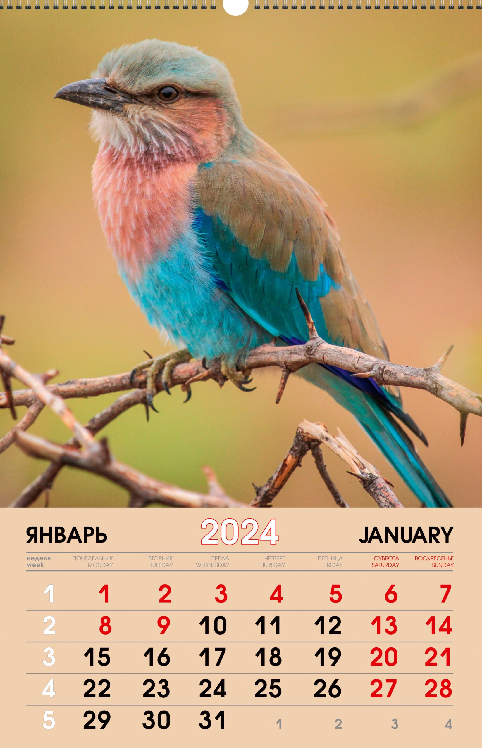 Птицы. 2 – КПВС2423 Птицы. 2 – КПВС2423