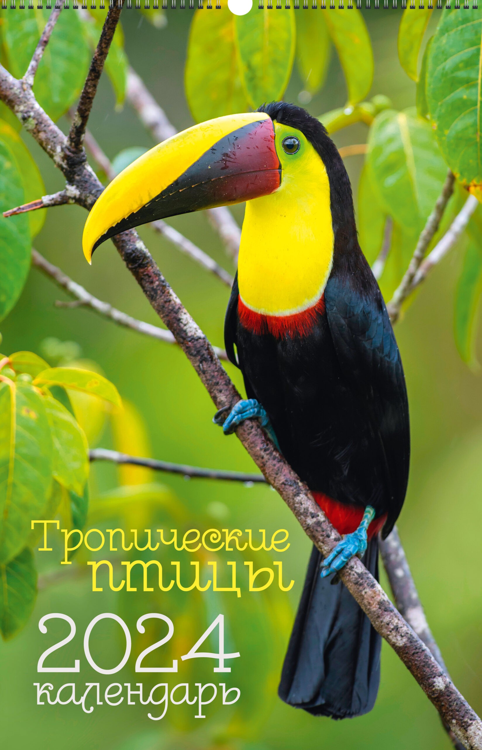 Птицы. 2 – КПВС2423 Птицы. 2 – КПВС2423