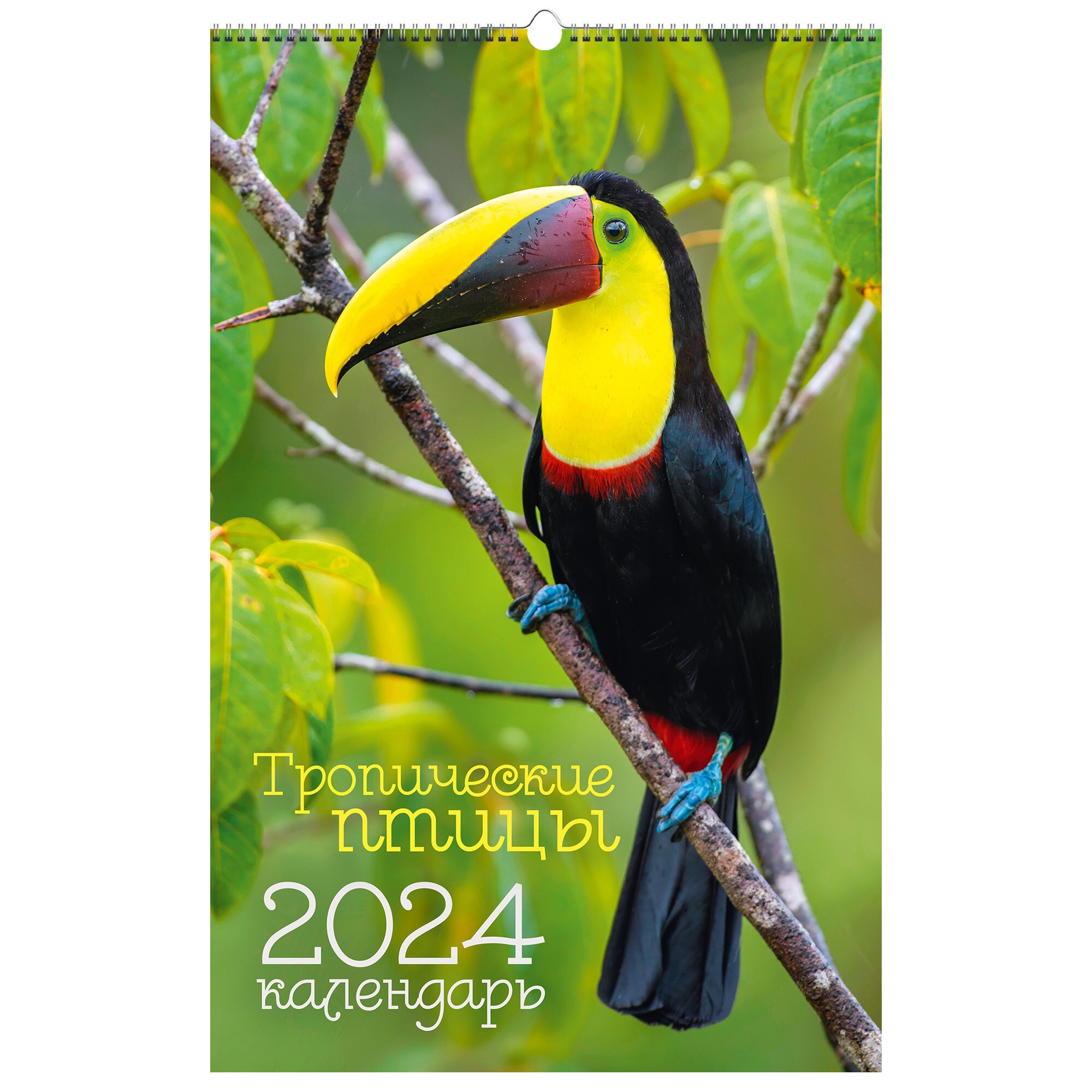 Птицы. 2 – КПВС2423 Птицы. 2 – КПВС2423