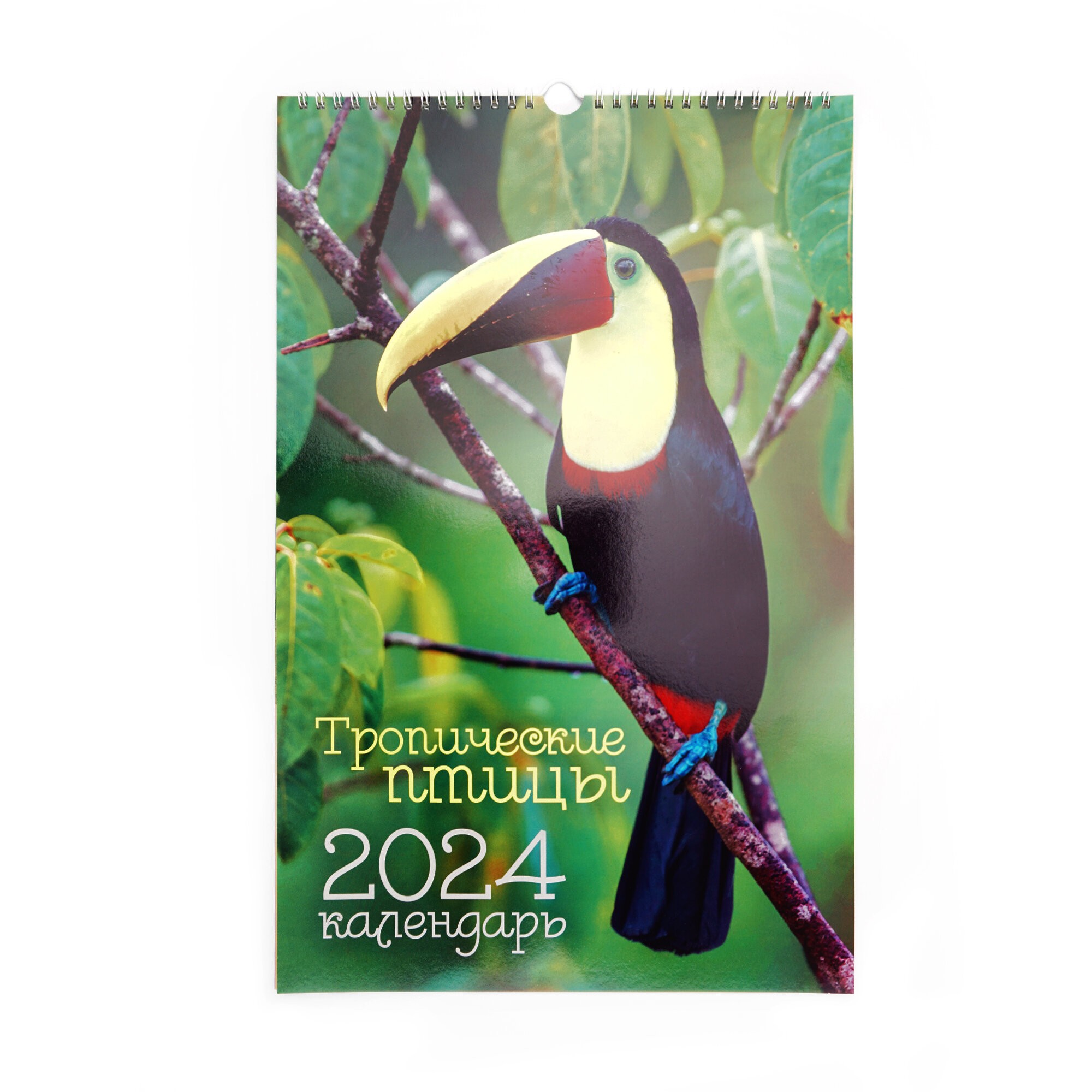 Птицы. 2 – КПВС2423 Птицы. 2 – КПВС2423